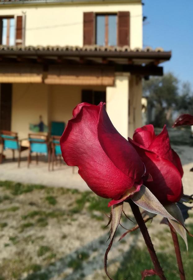 B&B Conca Del Pretore Loreto Aprutino Zewnętrze zdjęcie