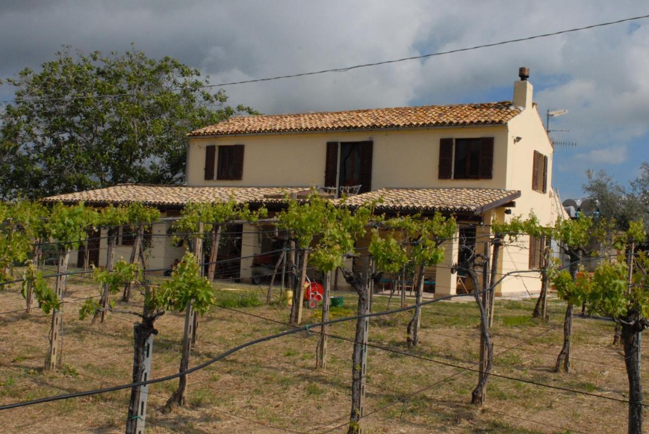 B&B Conca Del Pretore Loreto Aprutino Zewnętrze zdjęcie