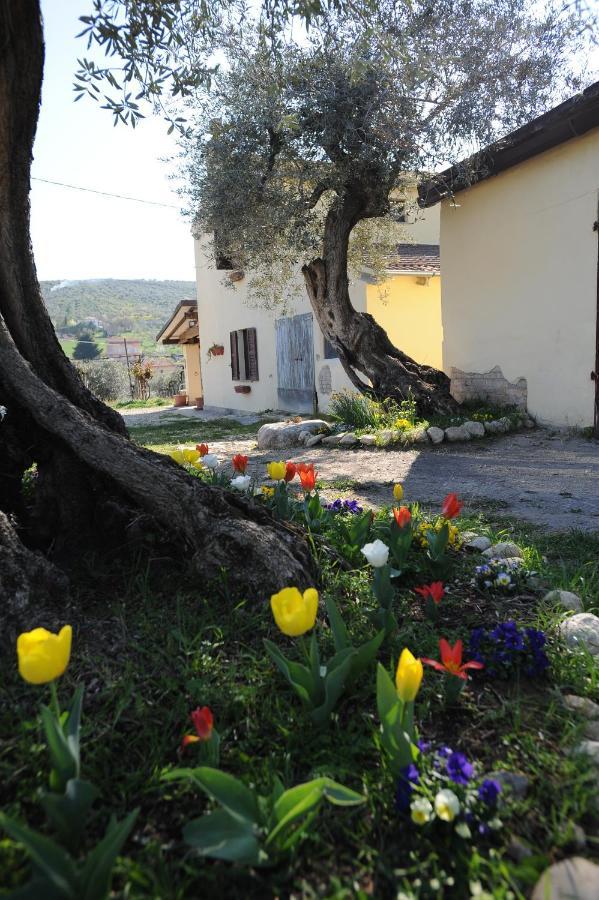 B&B Conca Del Pretore Loreto Aprutino Zewnętrze zdjęcie