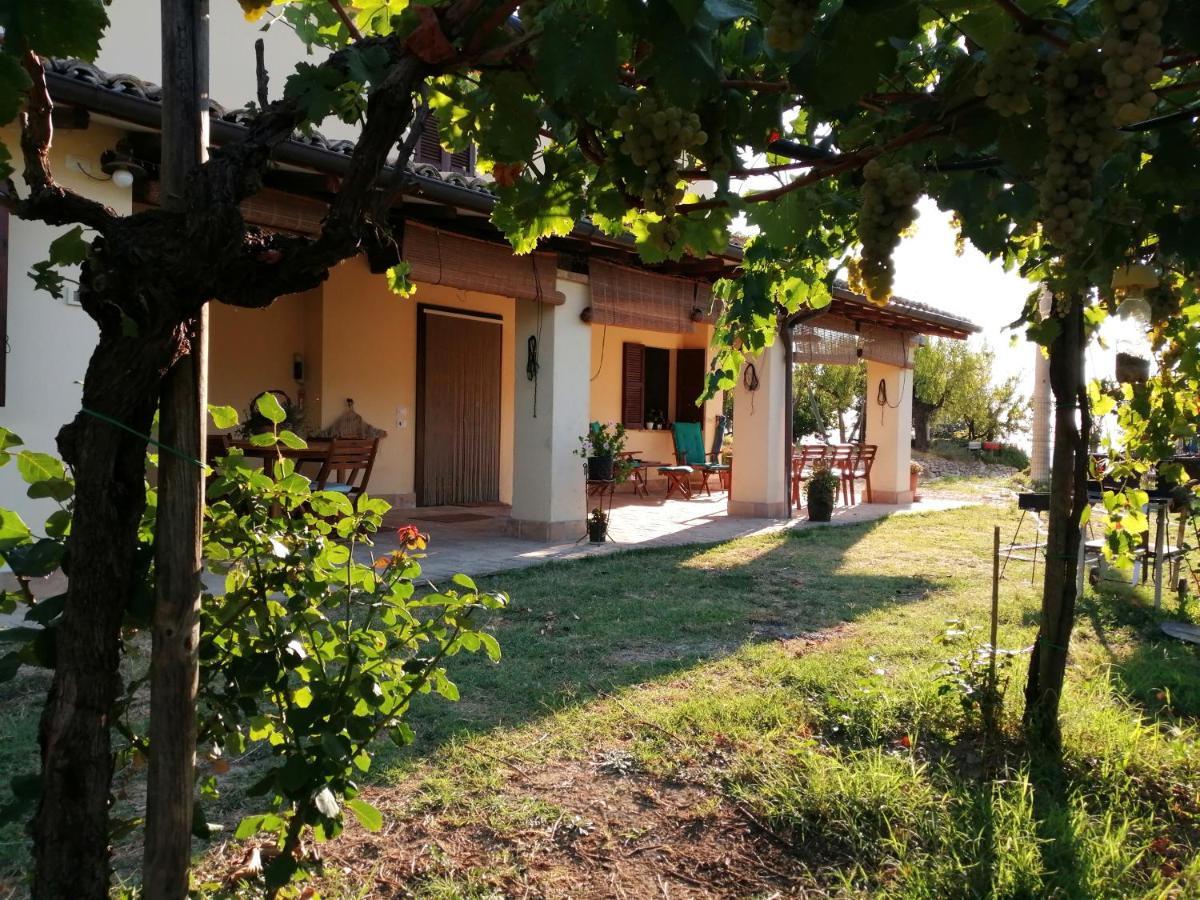 B&B Conca Del Pretore Loreto Aprutino Zewnętrze zdjęcie