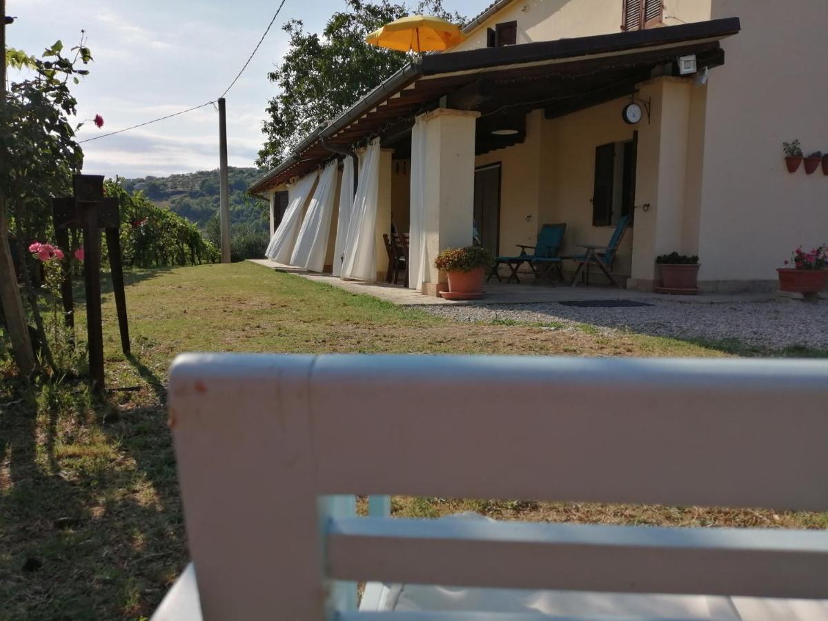B&B Conca Del Pretore Loreto Aprutino Zewnętrze zdjęcie