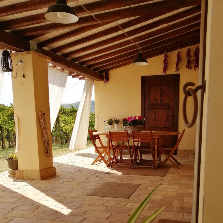 B&B Conca Del Pretore Loreto Aprutino Zewnętrze zdjęcie